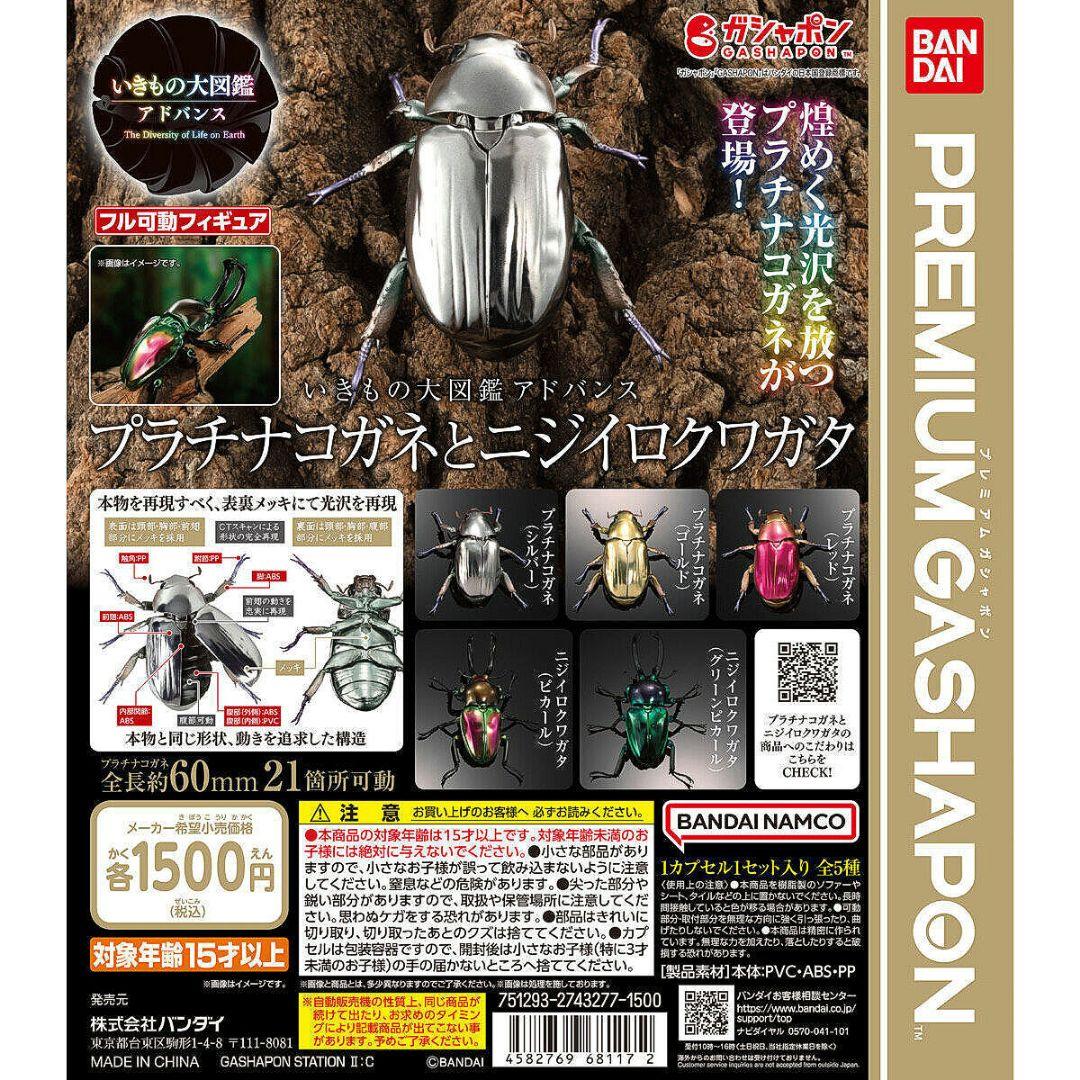 破格一点限り レア 超赤クリサルギレアプラチナコガネ 昆