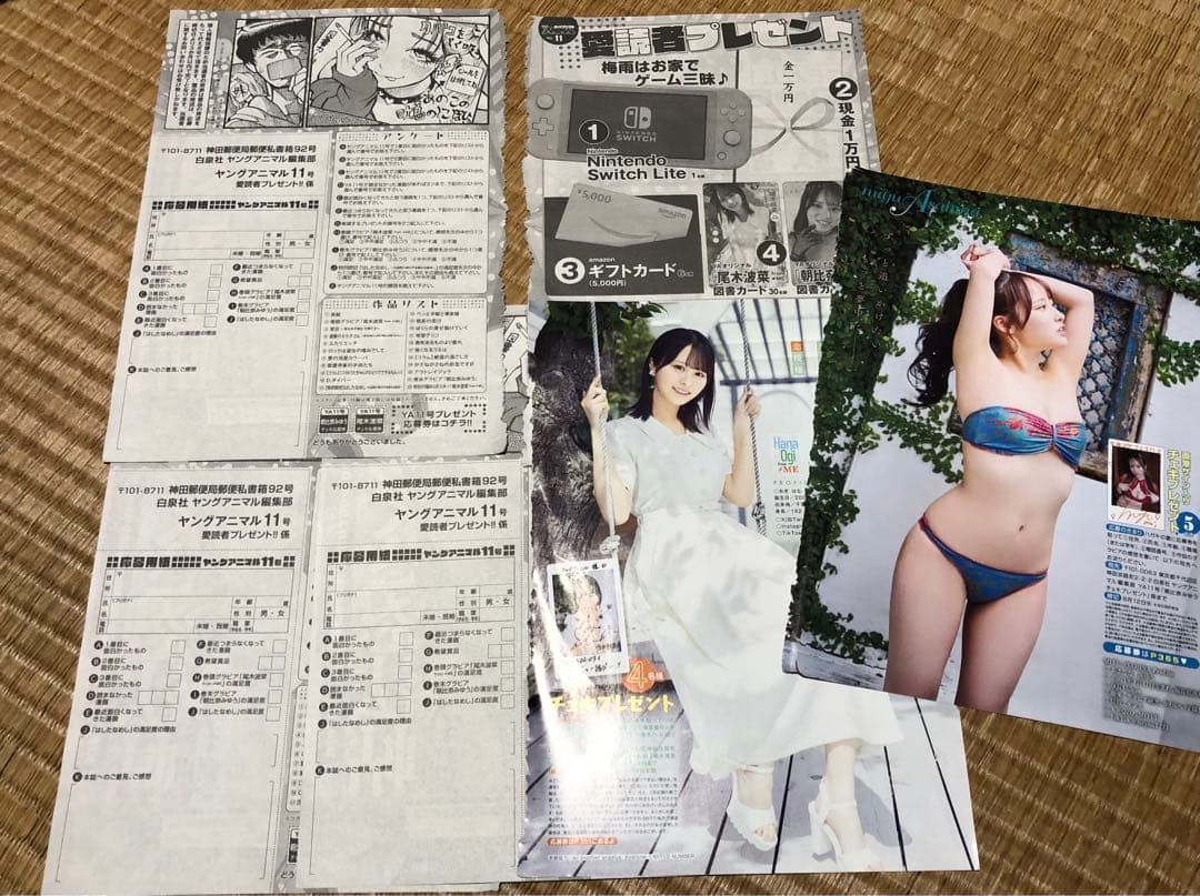 ヤングアニマル☆抽プレ懸賞応募券3枚☆尾木波菜☆図書カード 直筆