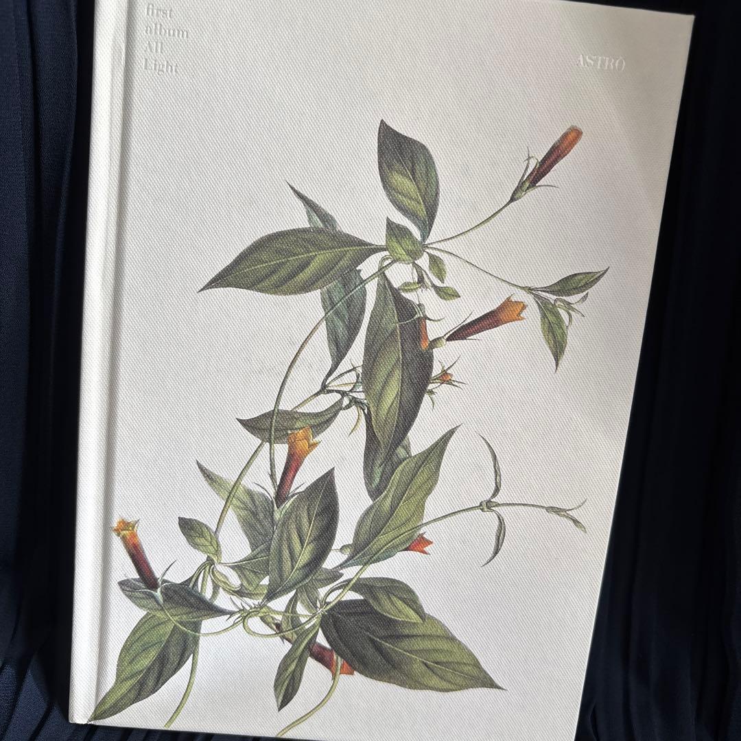 ASTRO All Light ラキサイン入り - メルカリ