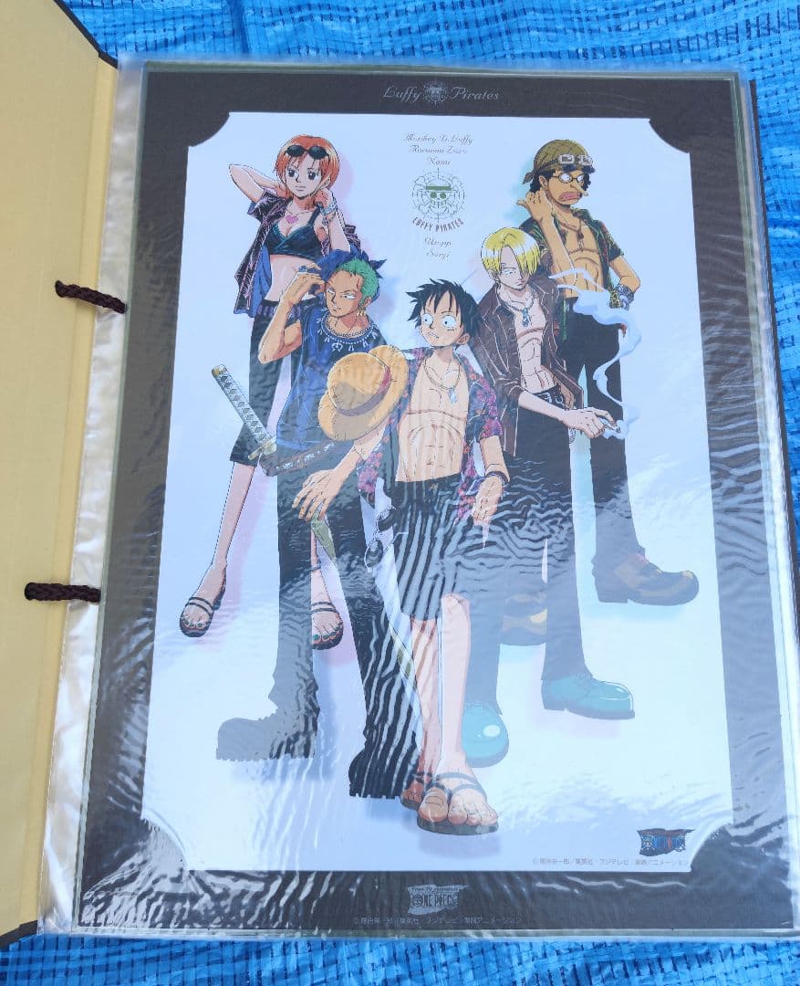 ONE PIECE ポートフォリオ ルフィ ゾロ ナミ サンジ ポートレート付き