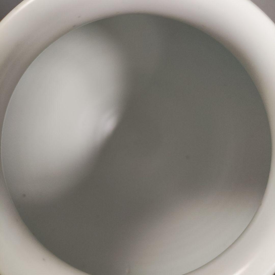 廣州窯 白磁壺 李朝 高麗 韓国 月壺