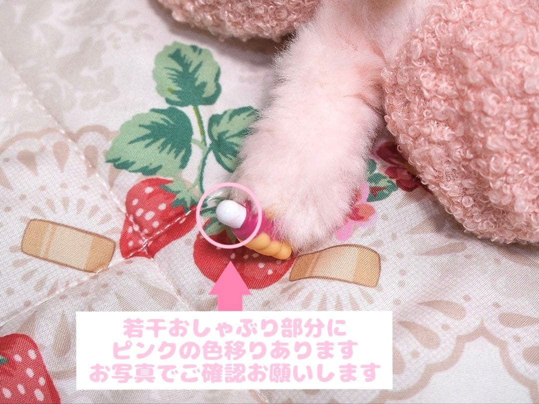 チムたん　もこもこバニー　Sekiguchi　セキグチ　モンチッチ 専用靴付