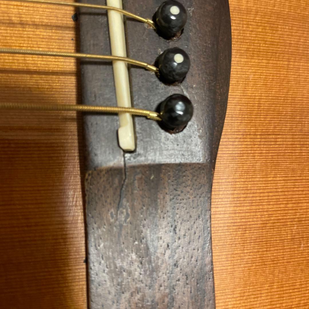 専用ケース付き】Greg Bennett OM-13CE - メルカリ