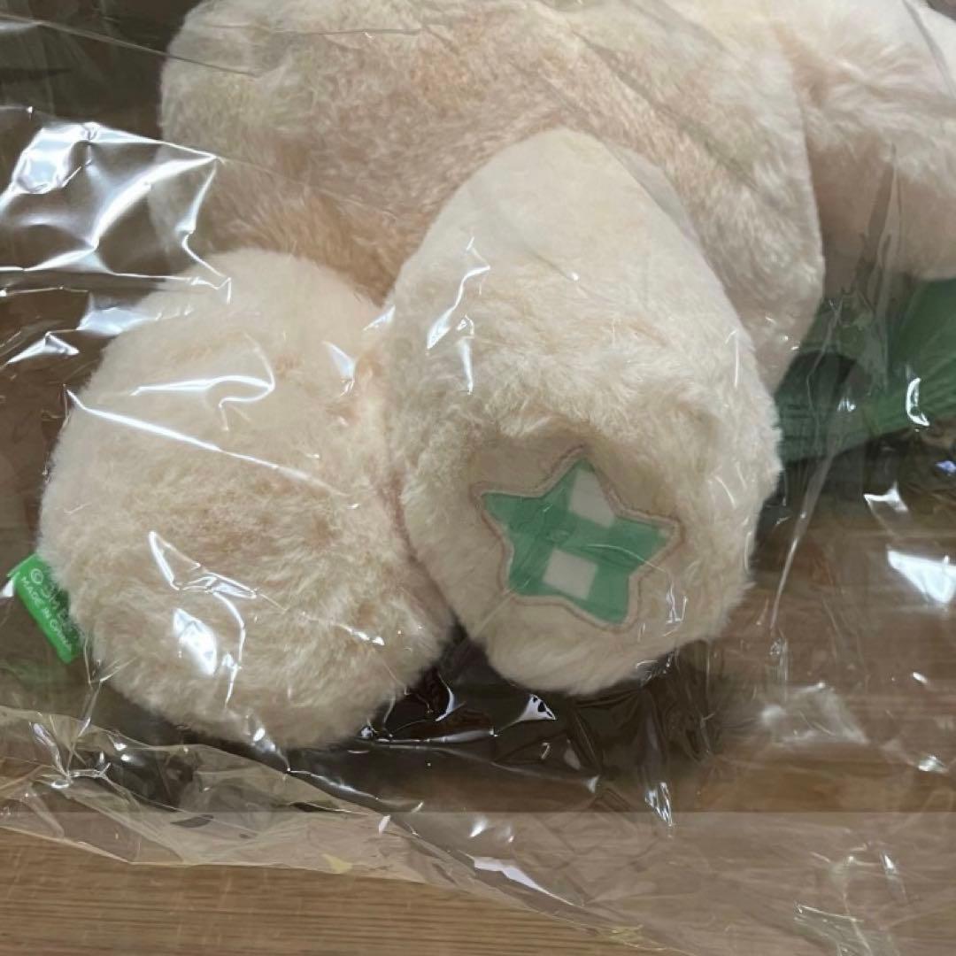 ジェヒ ソウルコン nct wish キャラクターバッグ　新品未開封 md