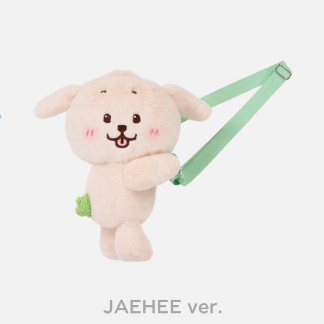 ジェヒ ソウルコン nct wish キャラクターバッグ　新品未開封 md