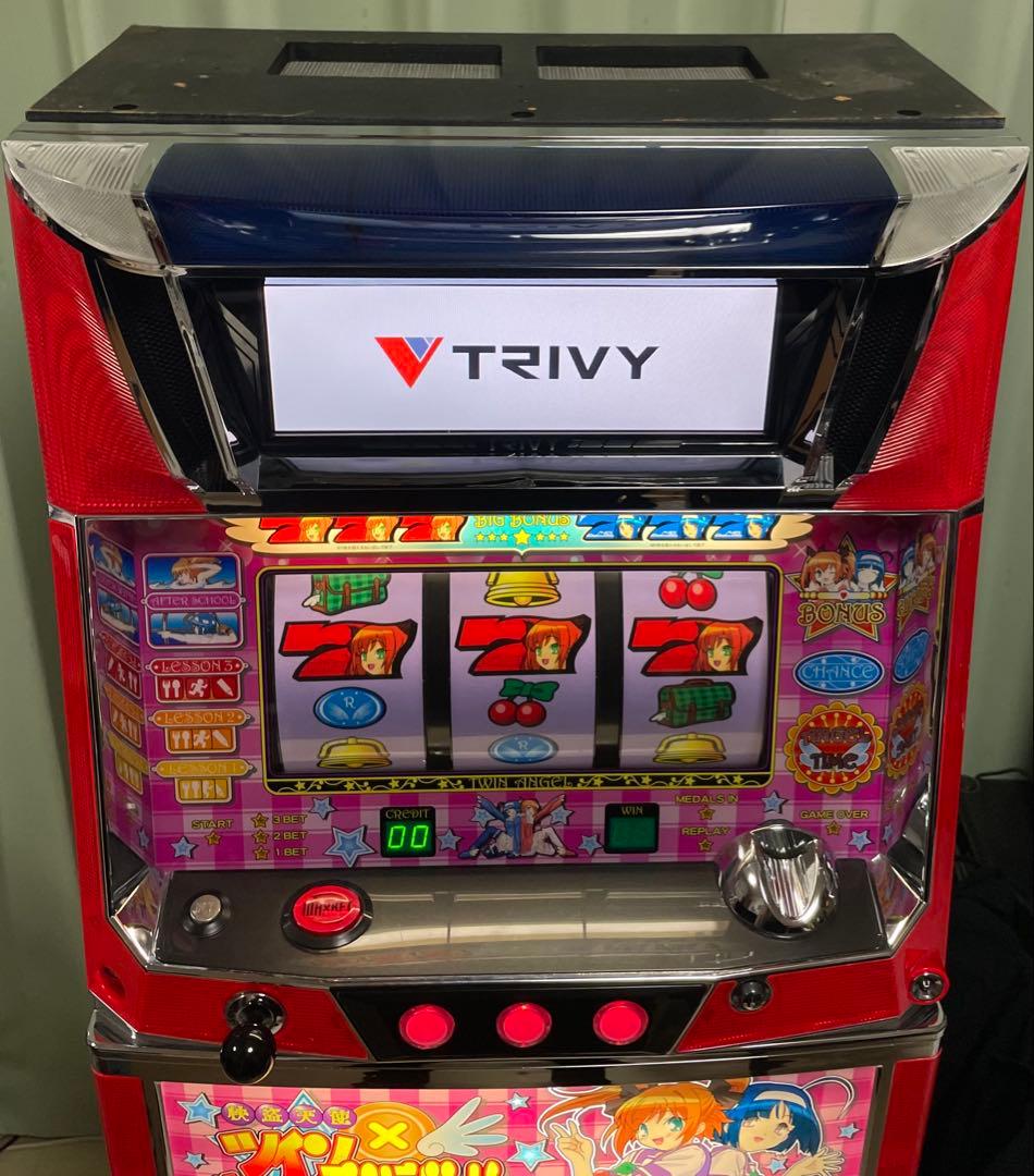 たのメル便 ツインエンジェル初代 実機 コイン不要機 無段階ボリューム