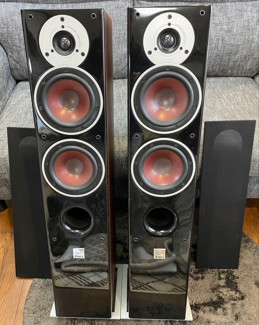 DALI ZENSOR 5 フロアスタンディングスピーカー