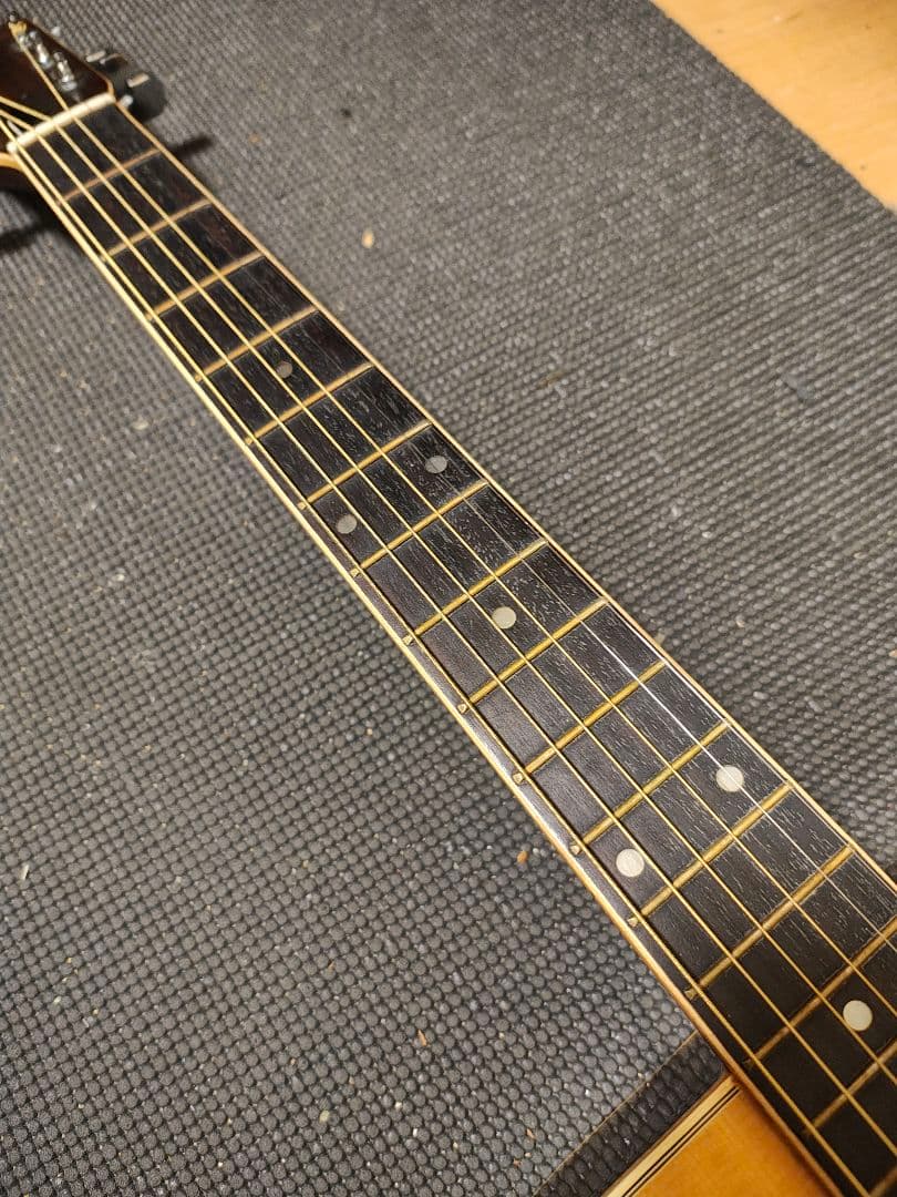 Aria W-250/JAPANビンテージ