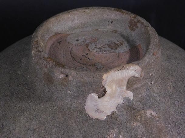 茶道具 会寧 青磁茶碗（時代茶碗）／海上がり・李氏朝鮮】