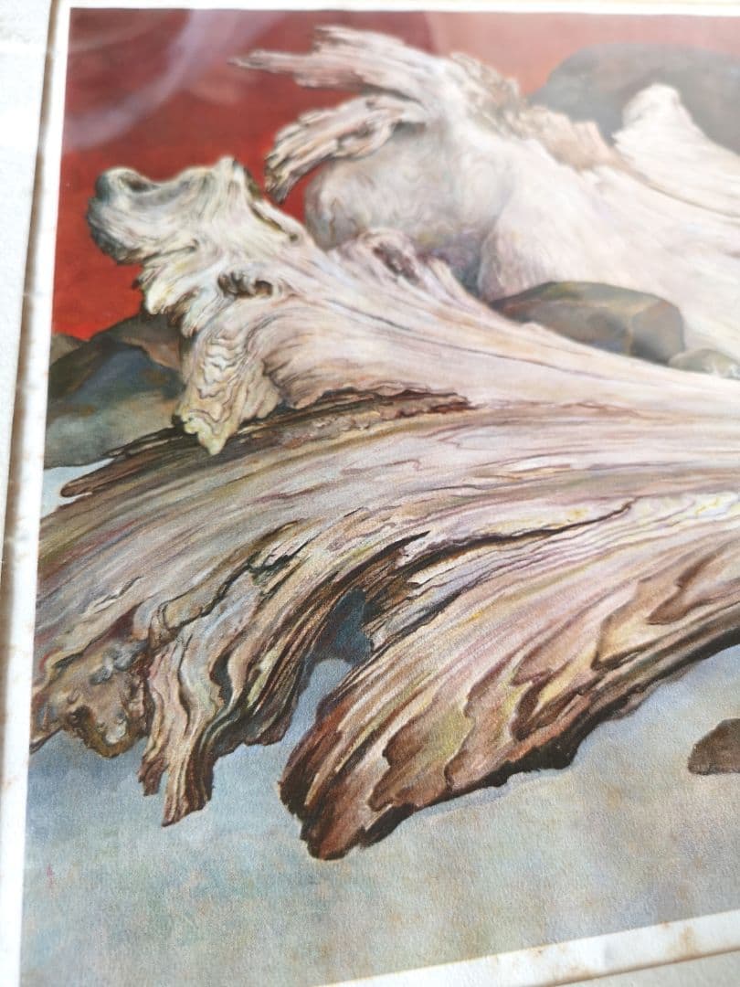 【リトグラフ】アーネスト・R・ノーリング　流木のある太平洋岸北西部の海岸のカモメ