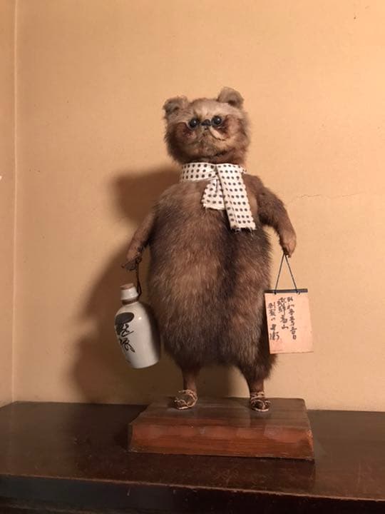 たぬきの剥製