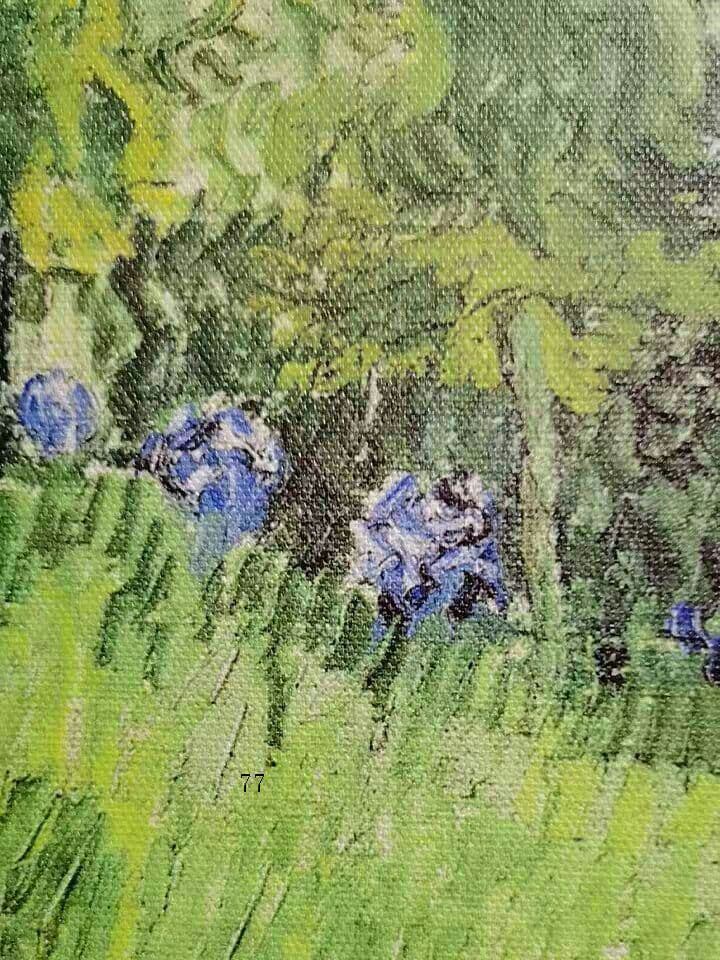 絵画油絵 ゴッホホワイトローズ装飾8