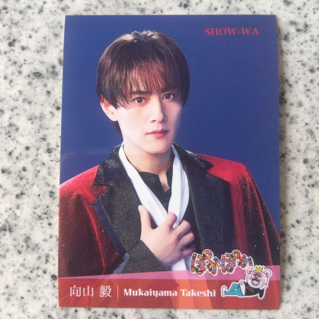 SHOW-WA 向山毅 ぽかぽかステッカー たけちゃん - メルカリ
