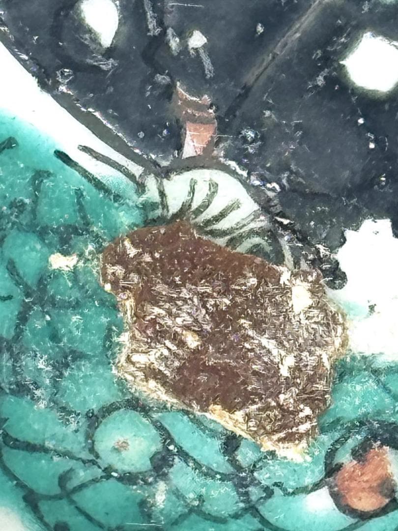 清 同治時代 粉彩花石蝶紋皿 歴史唐物 琺瑯彩 伝世