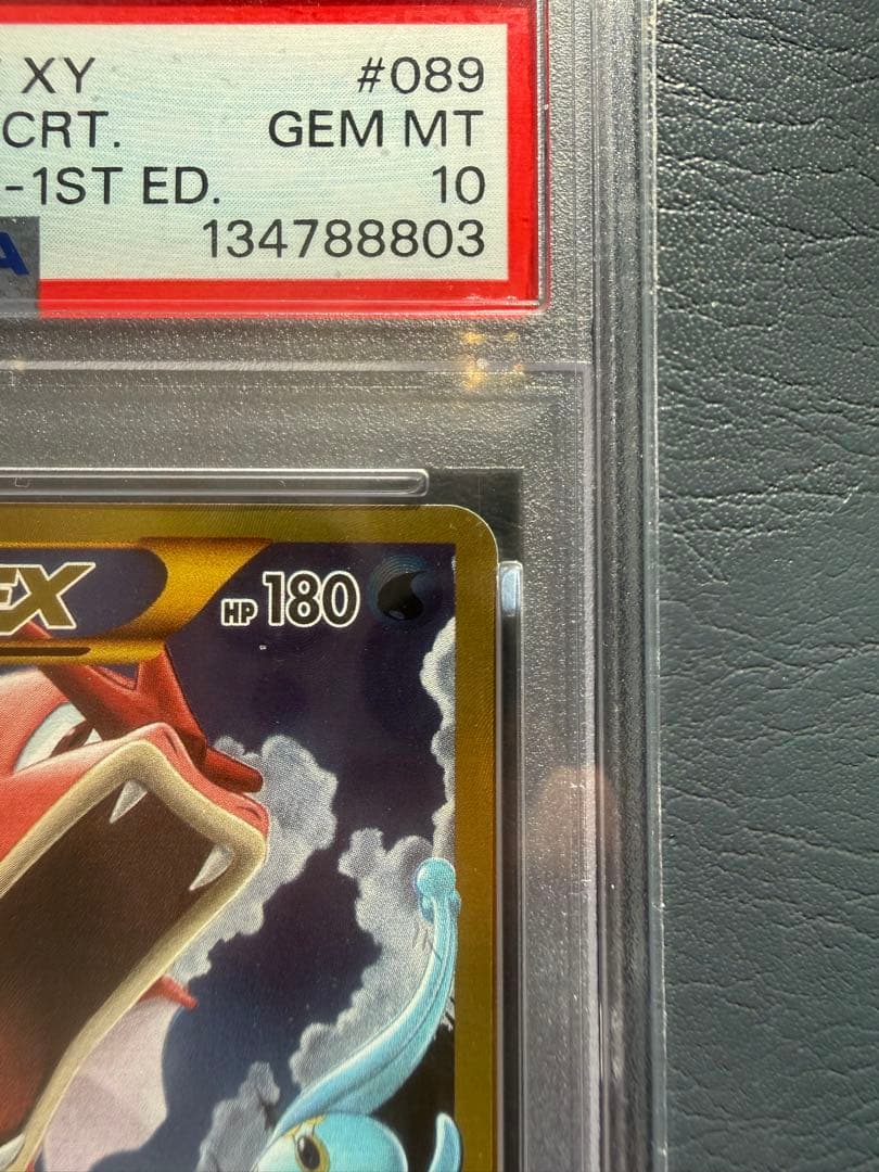 【PSA10 世界791枚】ギャラドスEX UR XY9 破天の怒り
