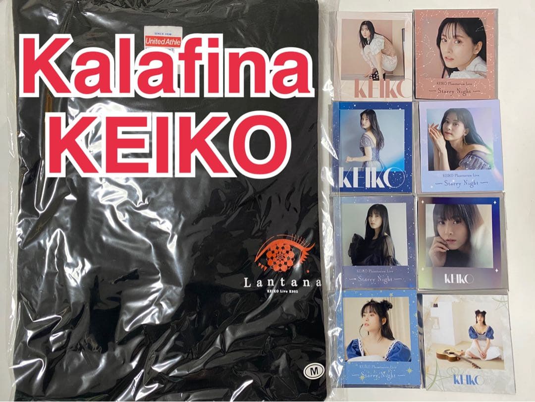 Kalafina KEIKO グッズ ロンT チェキ風マグネット 全8種コンプ