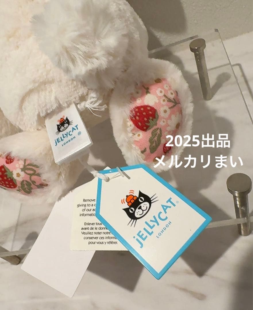  Blossom Cream Bunny 'Berry' （S）