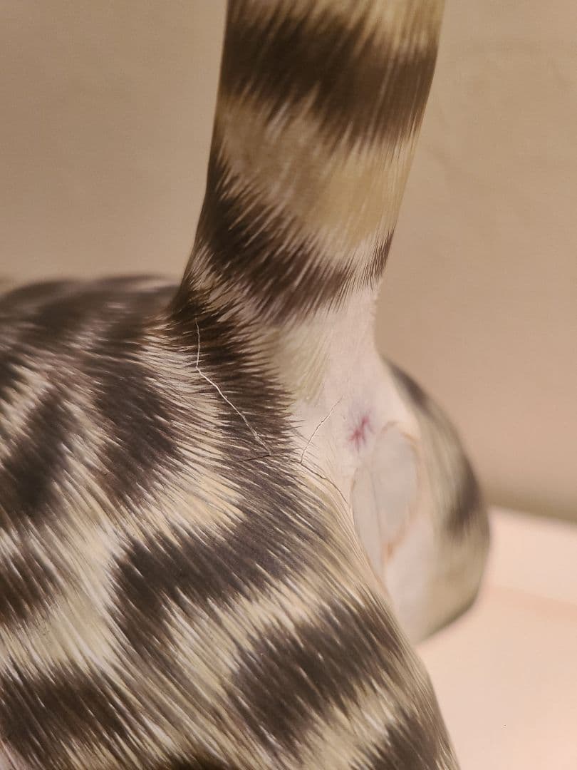 宮地乃梨子様作の張子の猫リアルな猫貴重置物