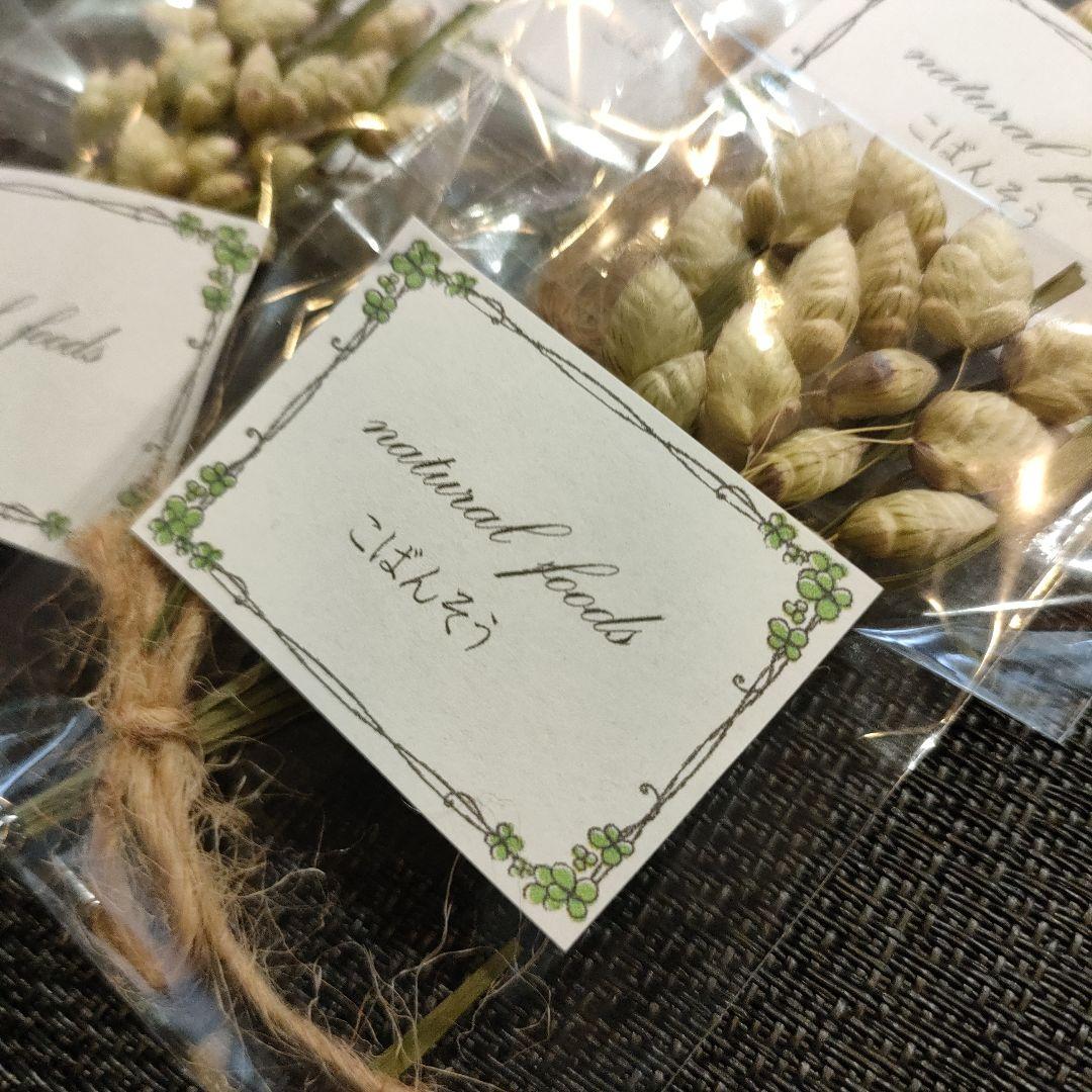 ギフト用】乾燥野草フルーツ詰め合わせ 小動物 おやつ