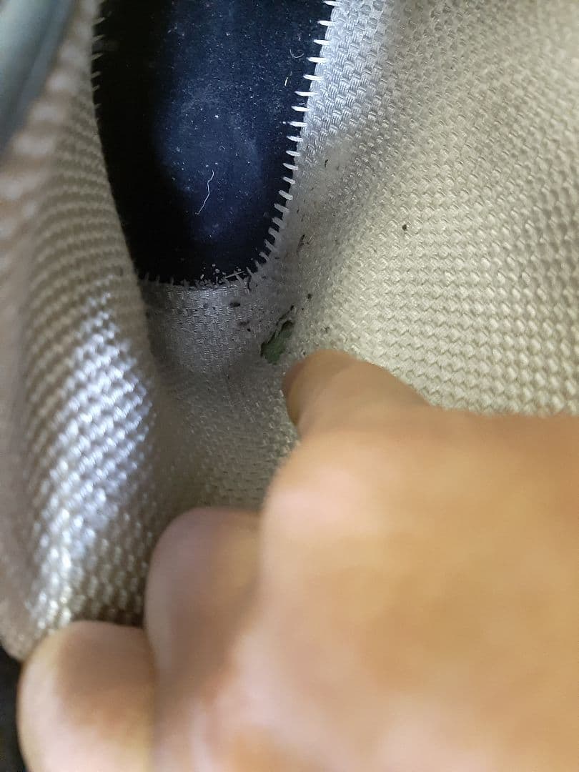 BURTON ION 25.5cm アジアンフィット