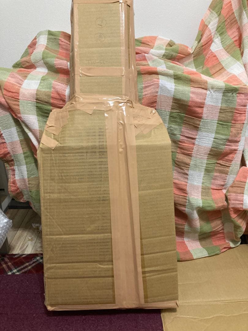 Tagima テレキャスタータイプ　TW-55