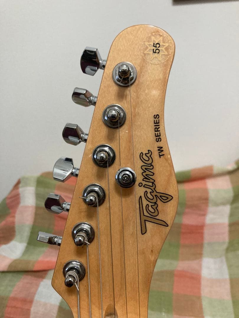 Tagima テレキャスタータイプ　TW-55