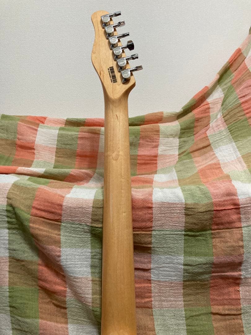 Tagima テレキャスタータイプ　TW-55