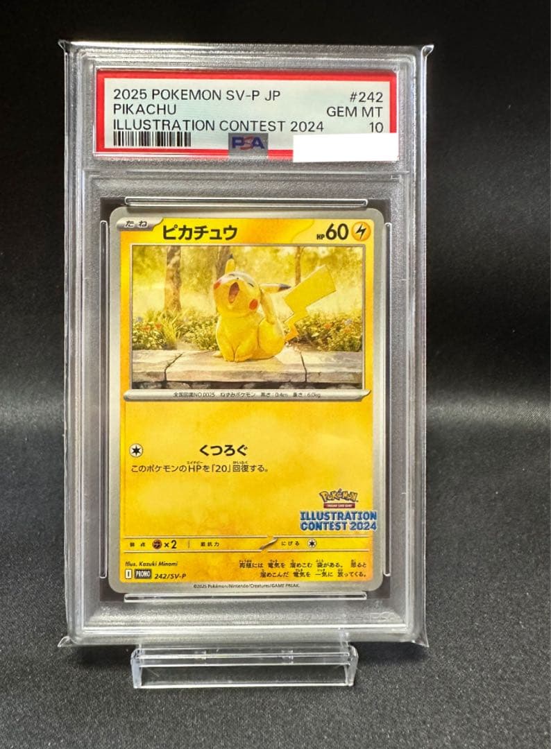 242/sv-p 2025 ピカチュウ イラストコンテスト PSA10 2連番