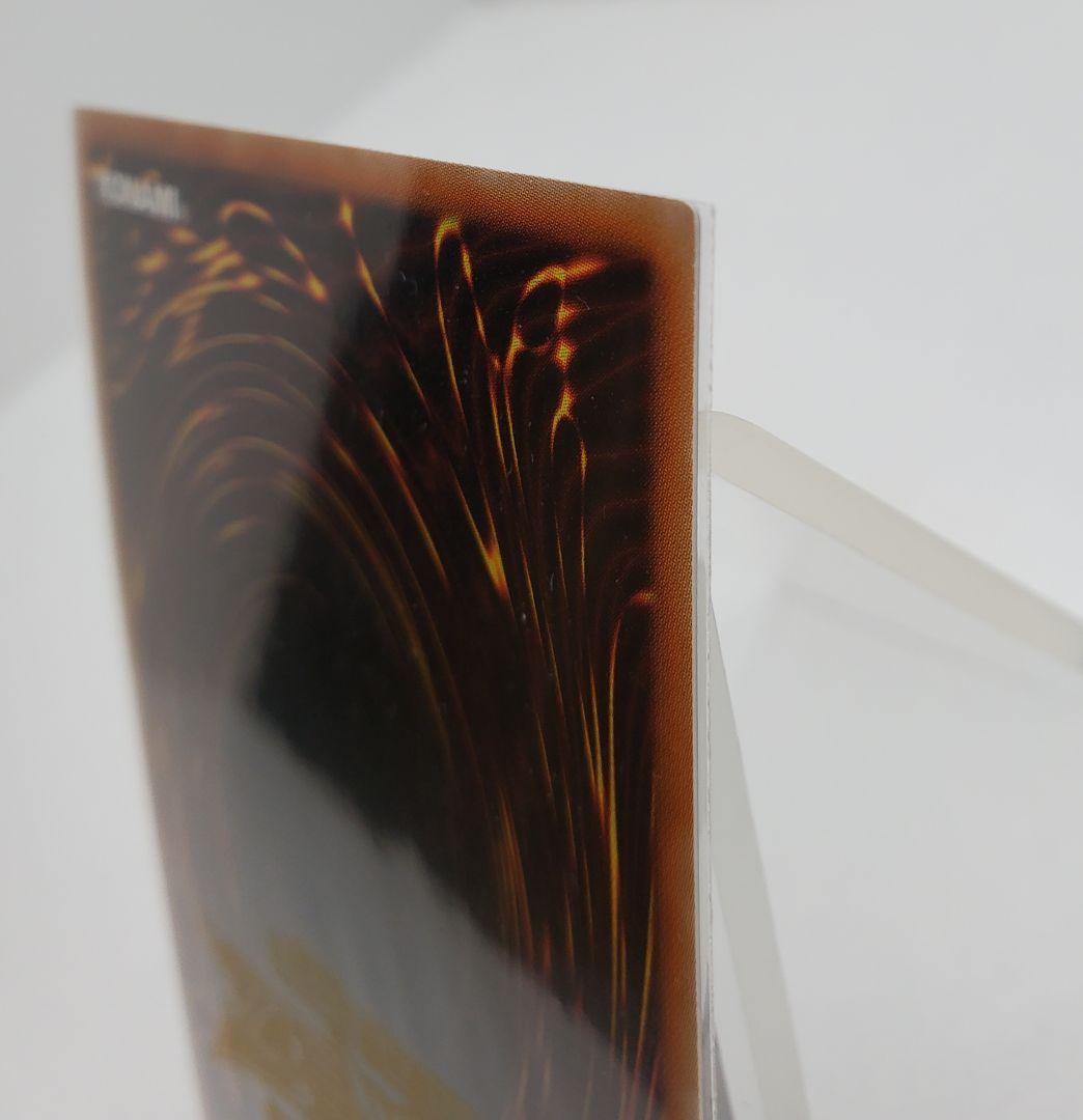 ち*く様 ※8/3日(23:59)まで出品 氷結界の龍 トリシューラDTC3-J