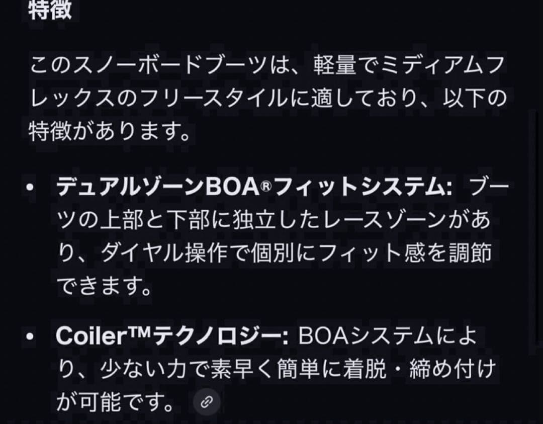 人気完売商品 22-23 BURTON 29cm バートン