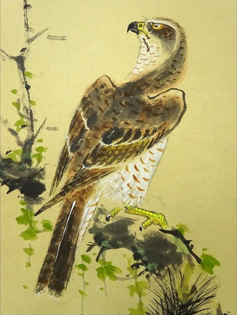 真作】掛軸 丸尾玉琳『老松に鷹之図』紙本 共箱付 掛け軸 a100816