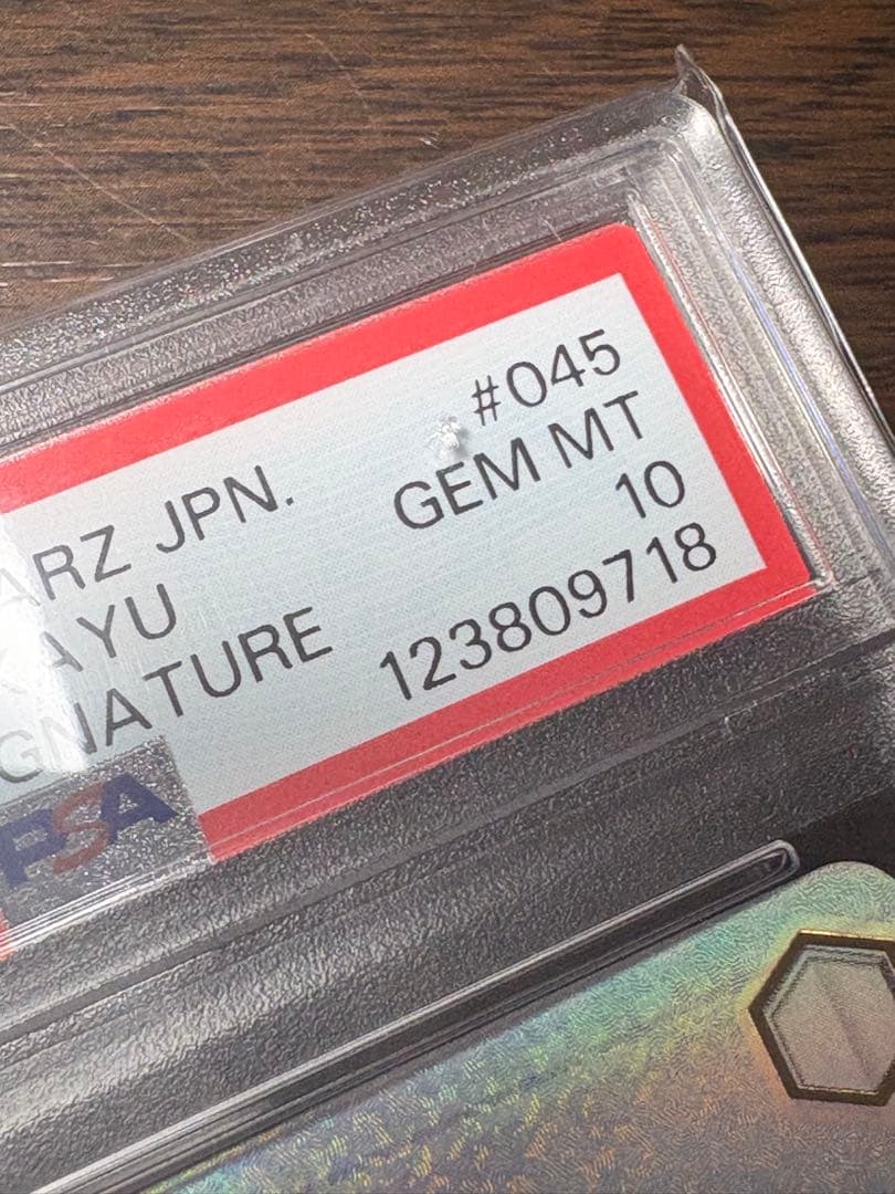 p*i様 ヴァイスシュヴァルツ お家にお邪魔します…！　猫又おかゆ　ssp ps