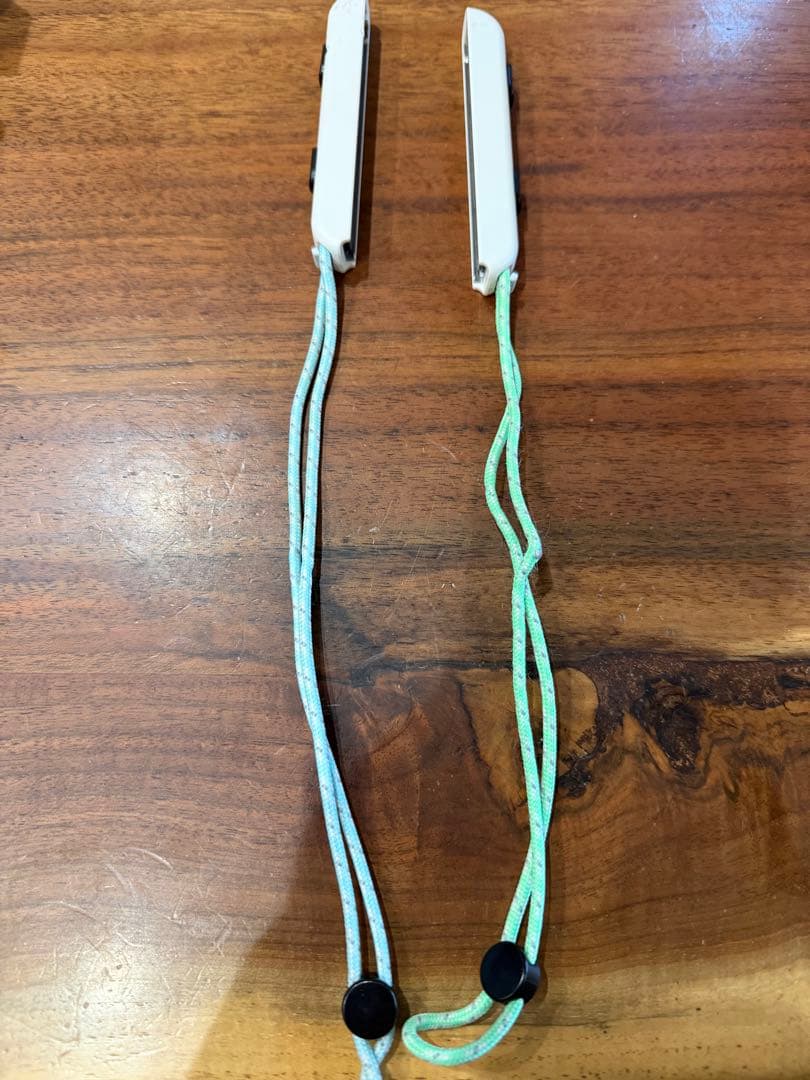 Nintendo Switch グリーン/ブルー どうぶつの森版 本体