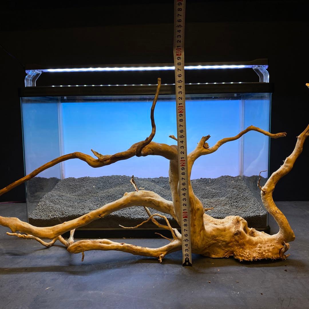 MDW-5605 特大ブランチウッド90cm水槽用流木枝流木アクアリウム