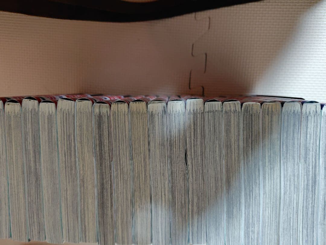 転生悪女の黒歴史 全19冊セット 内特装版3冊有