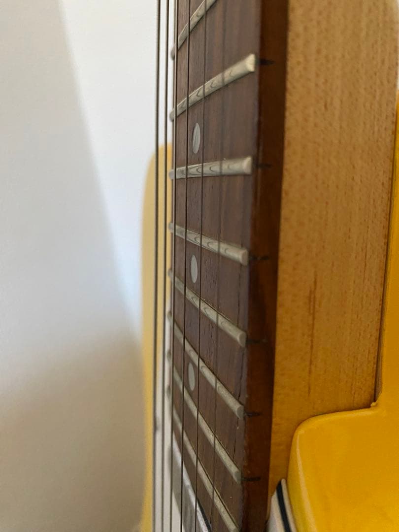 Bacchusテレキャスタータイプ エレキギター