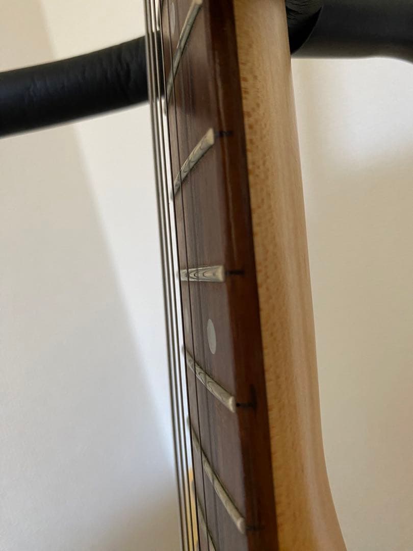 Bacchusテレキャスタータイプ エレキギター