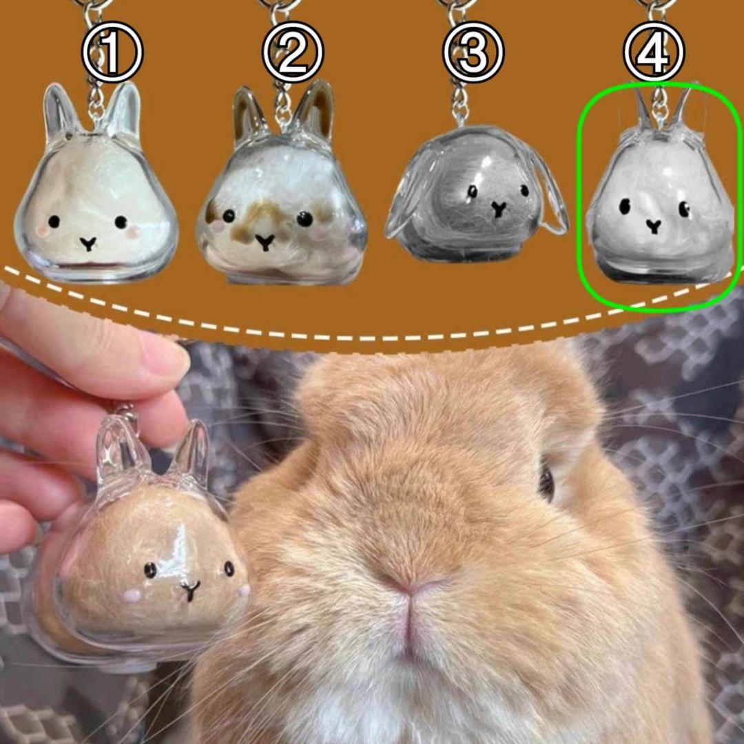 ◇新品◇うさぎの毛玉入れ キーホルダー ꪔ̤̥ - メルカリ