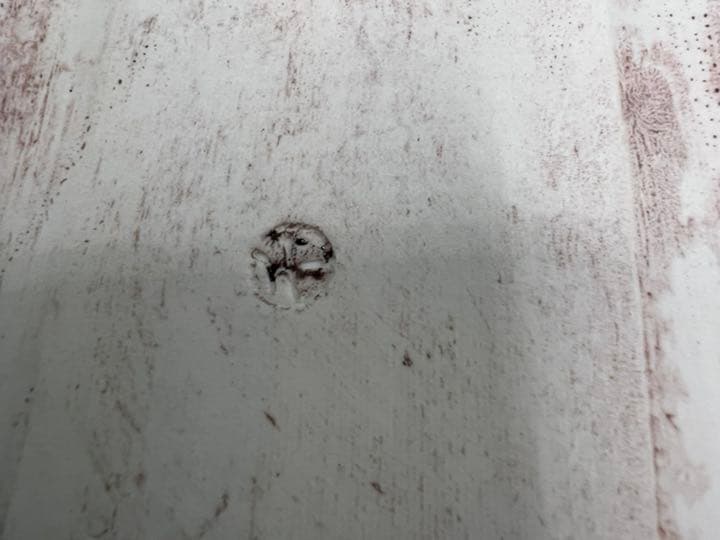 木葉 天目 皿 木の葉　プレート