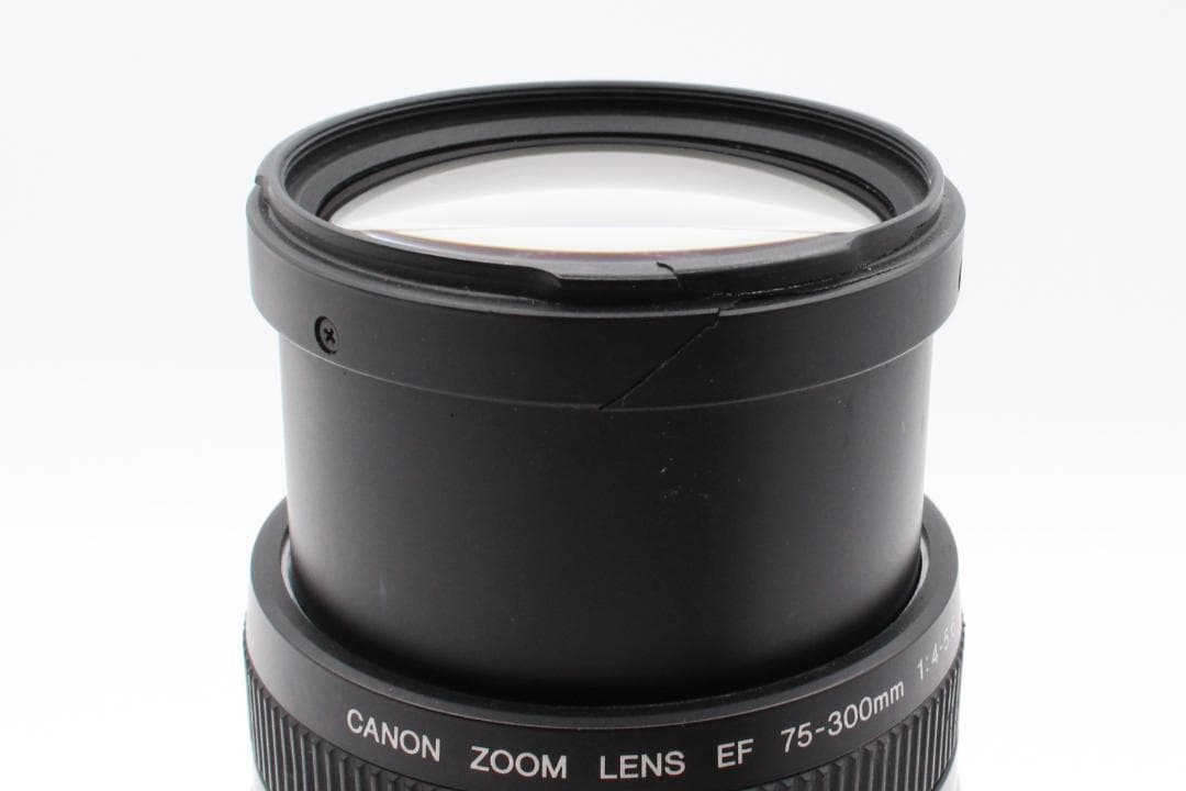 Canon EF 75-300mm F5.6 Ⅱ 定番望遠レンズ 即納OK｜Canon EF 75-