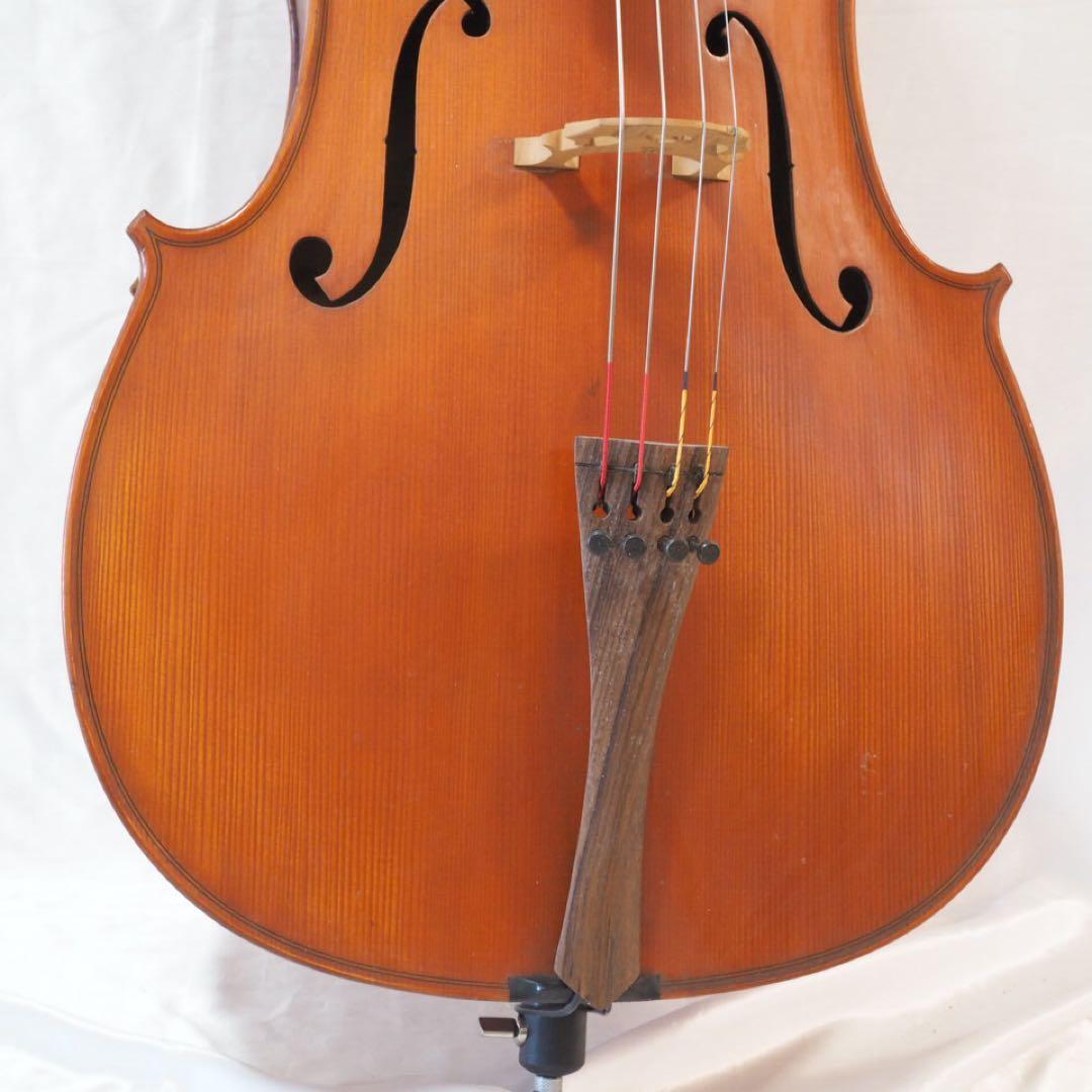 Gliga チェロ グリガ ムジリア Musilia 高級 ハードケース - メルカリ