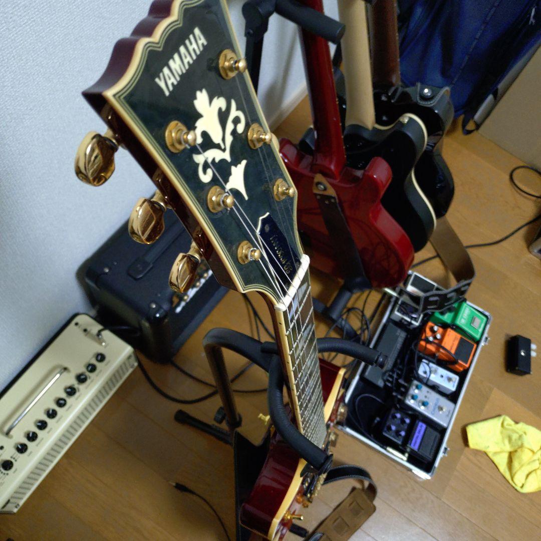 elvis出品