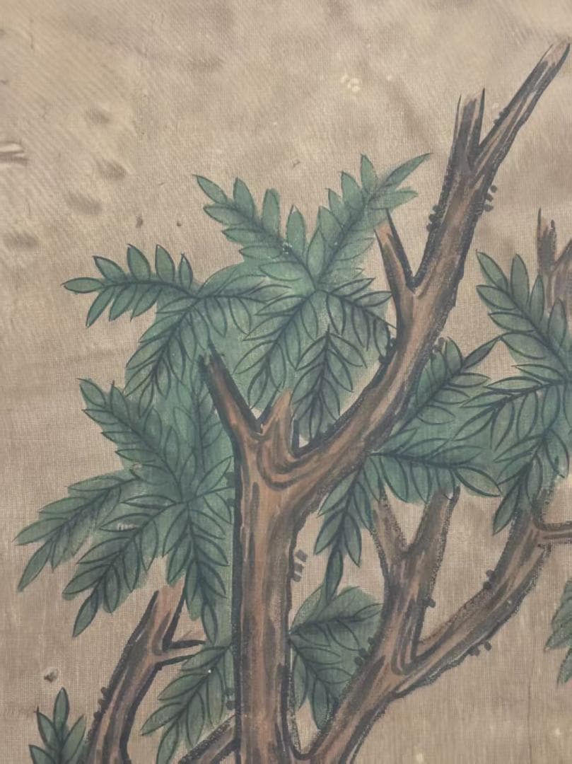 中国古美術 明代 呂紀 手描き掛軸 鳥と木の絵画 絹本 三尺