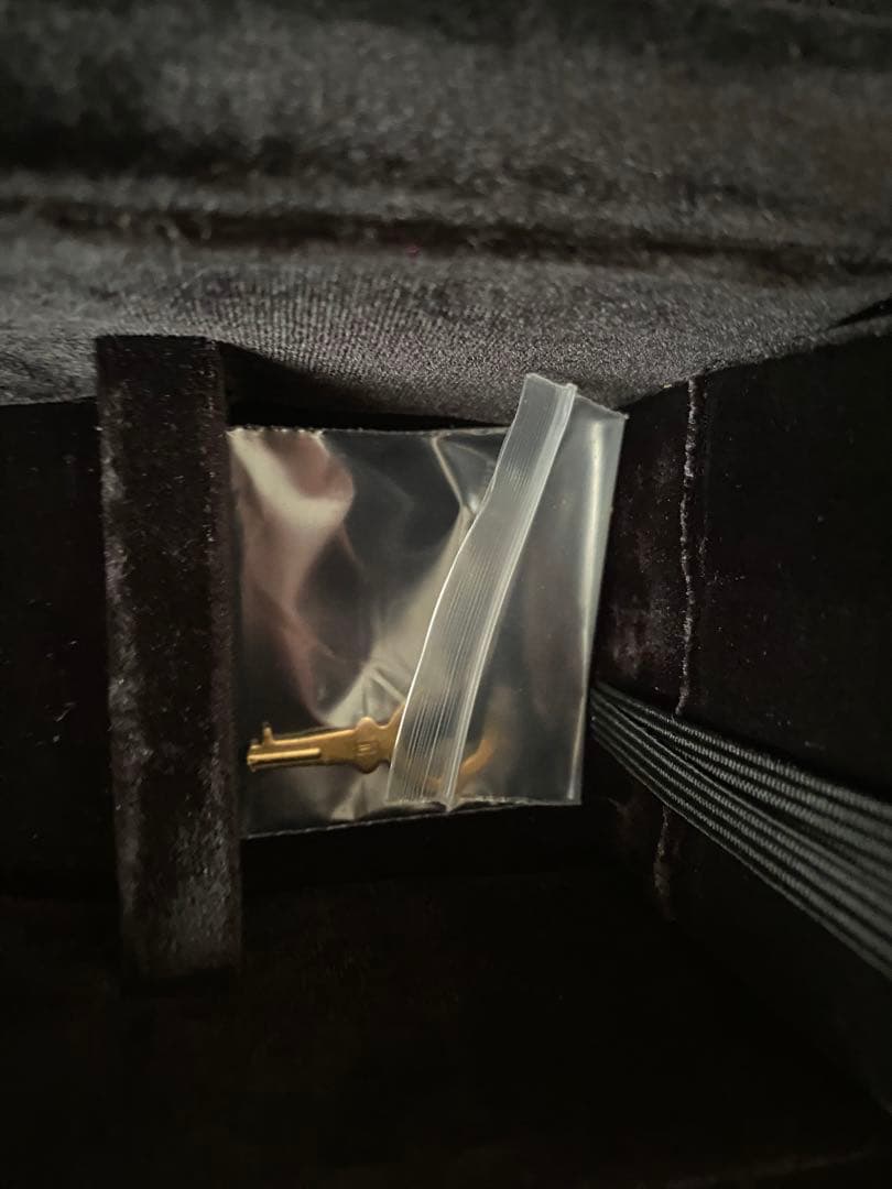 SUZUKI マンドラ 純正ケース付