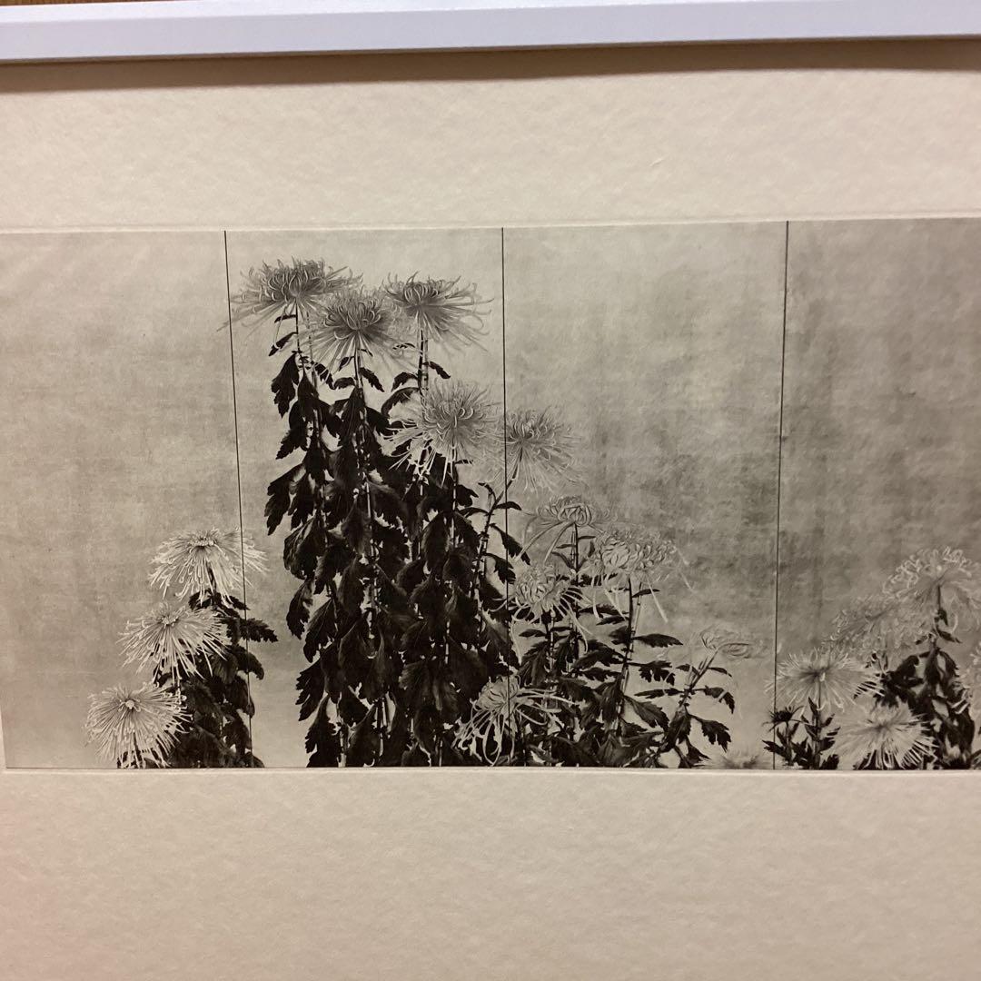 天才画家速水御舟　作品集大作編　便利堂監修　画集　NO 10 【菊花図】