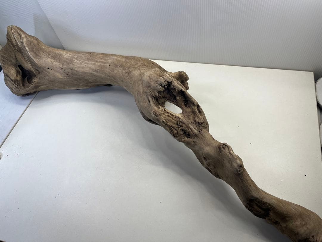 R64特大流木 アク抜き済み流木 爬虫類シェルター 登り木 インテリア 生け花