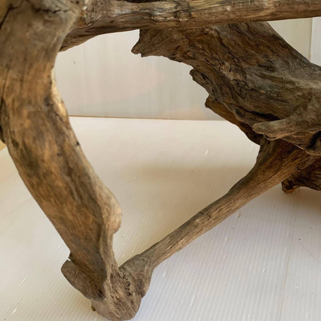 銀*時様 アク抜き済み流木 No.10 超レア型 沈水確認済