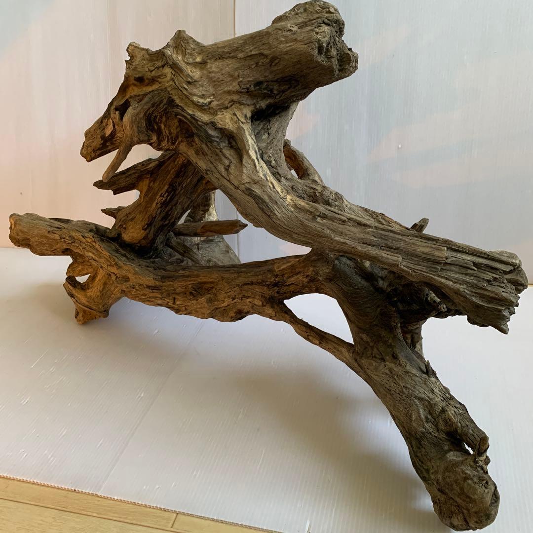 銀*時様 アク抜き済み流木 No.10 超レア型 沈水確認済