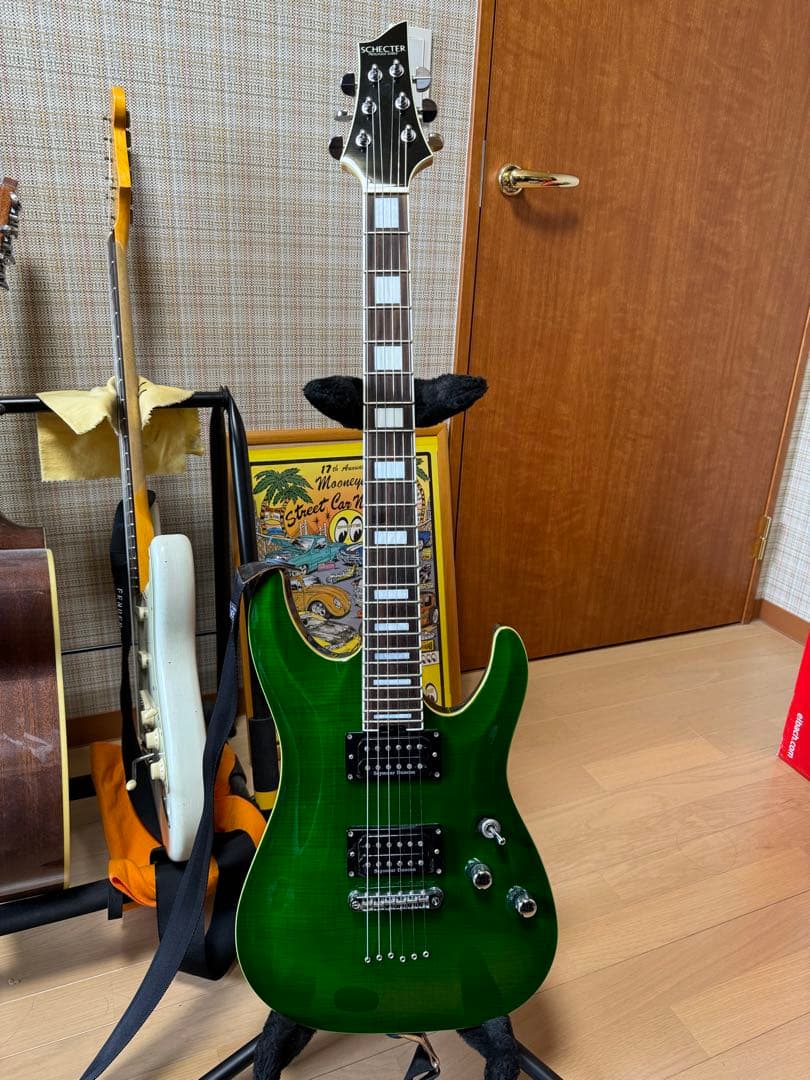 fact SHADOWS TAKAHIRO SCHECTER PA-SW/TH