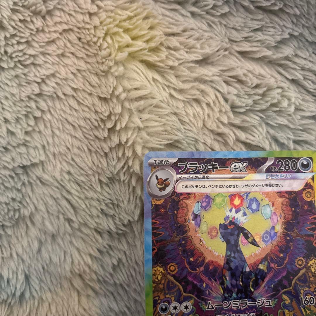 ブイズ　sar 　セット